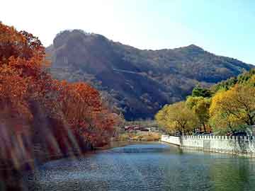 实时航线天气查询与安庆杀人案最新情况的语境关系探讨