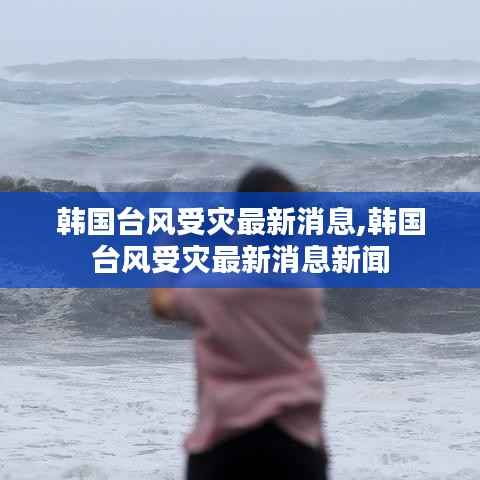 韩国台风受灾最新消息,韩国台风受灾最新消息新闻