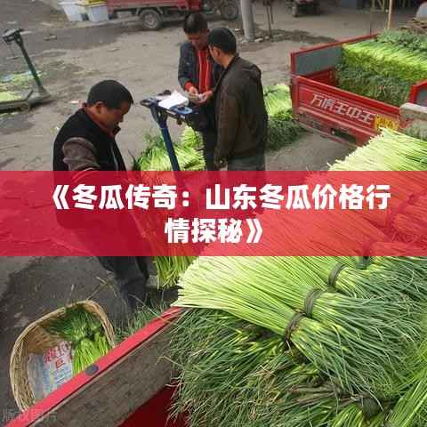 《冬瓜传奇:山东冬瓜价格行情探秘》