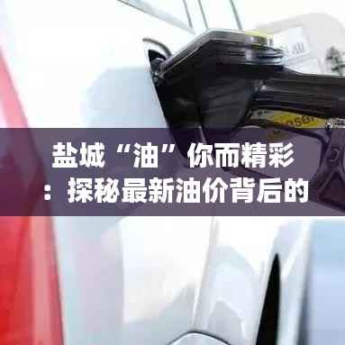 盐城“油”你而精彩:探秘最新油价背后的经济脉动