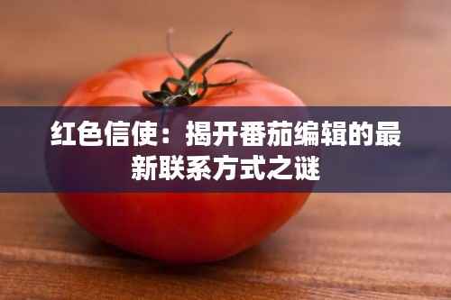 红色信使：揭开番茄编辑的最新联系方式之谜