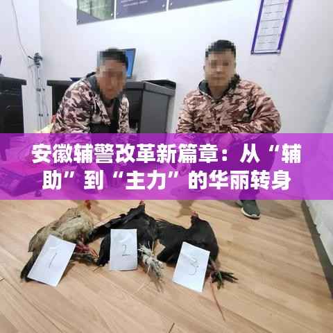安徽辅警改革新篇章:从“辅助”到“主力”的华丽转身