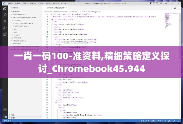 一肖一码100-准资料,精细策略定义探讨_Chromebook45.944