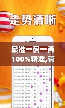 最准一码一肖100%精准,管家婆大小中特,精细计划化执行_T25.436