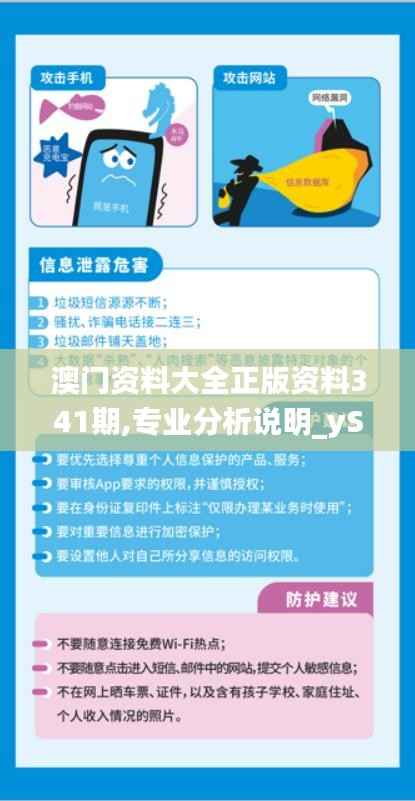 澳门资料大全正版资料341期,专业分析说明_yShop7.667