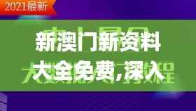 新澳门新资料大全免费,深入设计数据解析_经典款3.334