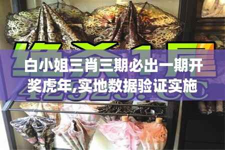 白小姐三肖三期必出一期开奖虎年,实地数据验证实施_复刻版2.632