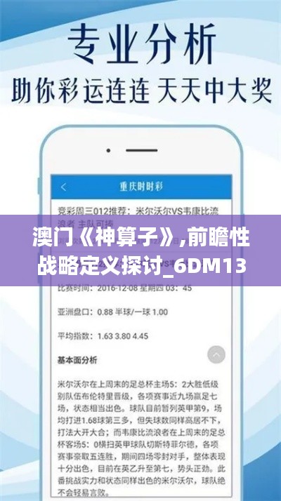 澳门《神算子》,前瞻性战略定义探讨_6DM13.659