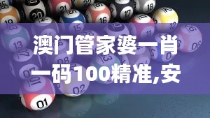 澳门管家婆一肖一码100精准,安全性策略评估_特供版3.529
