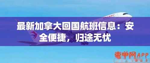 最新加拿大回国航班信息：安全便捷，归途无忧