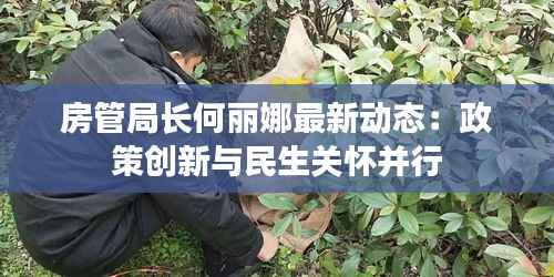 房管局长何丽娜最新动态:政策创新与民生关怀并行