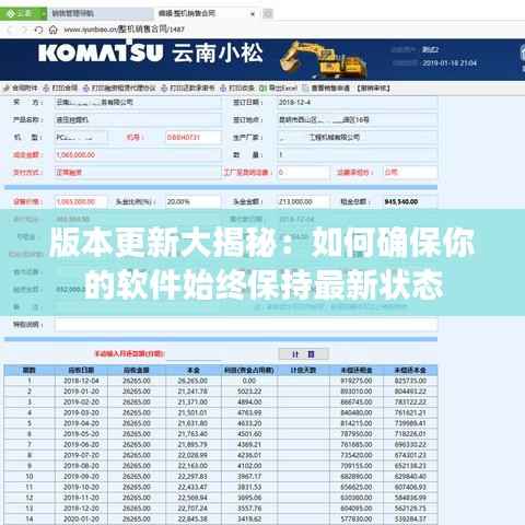 版本更新大揭秘：如何确保你的软件始终保持最新状态