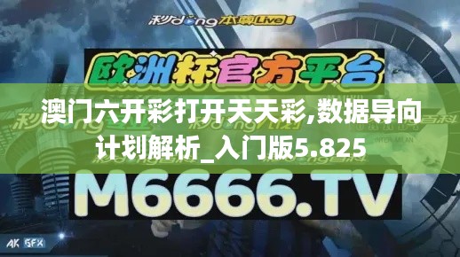 澳门六开彩打开天天彩,数据导向计划解析_入门版5.825