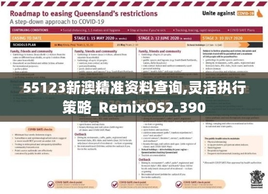55123新澳精准资料查询,灵活执行策略_RemixOS2.390