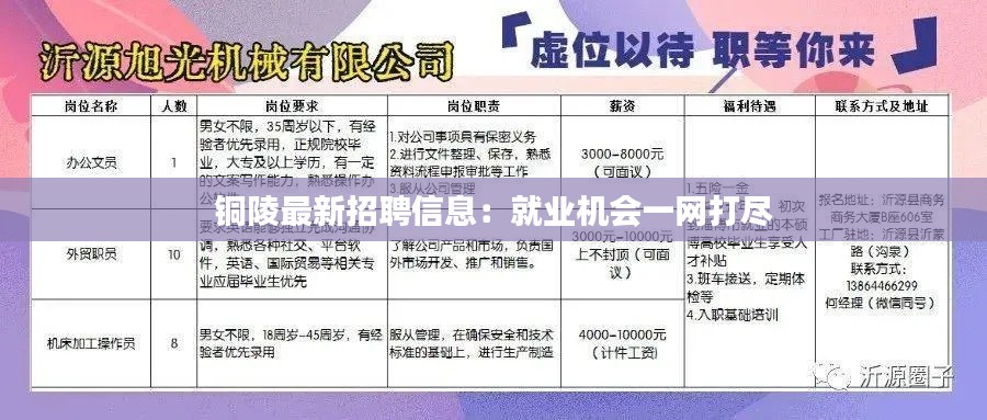 铜陵最新招聘信息:就业机会一网打尽