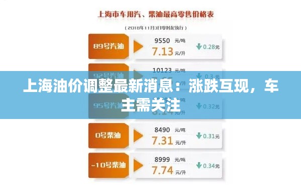 上海油价调整最新消息：涨跌互现，车主需关注