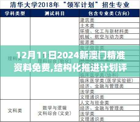 12月11日2024新澳门精准资料免费,结构化推进计划评估_网页版4.965