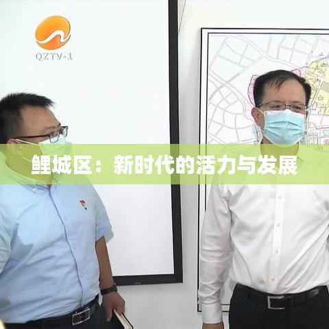 鲤城区:新时代的活力与发展
