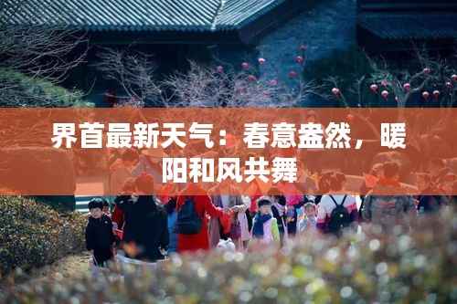 界首最新天气:春意盎然,暖阳和风共舞