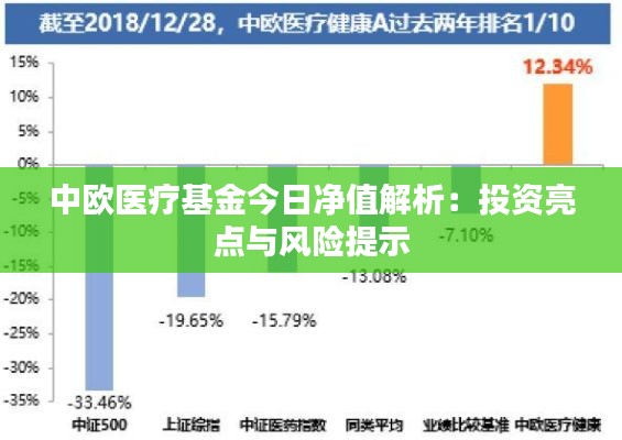 中欧医疗基金今日净值解析：投资亮点与风险提示