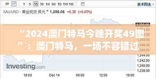 “2024澳门特马今晚开奖49图”:澳门特马,一场不容错过的赛事