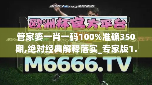 管家婆一肖一码100%准确350期,绝对经典解释落实_专家版1.176