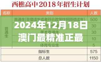 2024年12月18日澳门最精准正最精准龙门,高效解析说明_RemixOS1.411