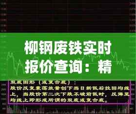 柳钢废铁实时报价查询：精准把握市场脉搏