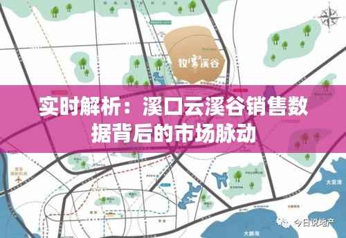 实时解析：溪口云溪谷销售数据背后的市场脉动