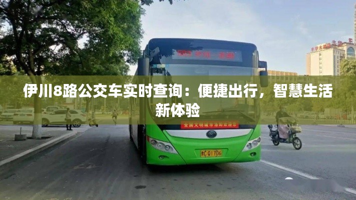 伊川8路公交车实时查询:便捷出行,智慧生活新体验