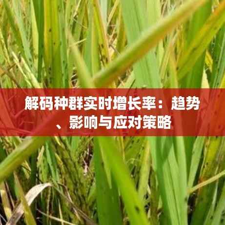 解码种群实时增长率:趋势、影响与应对策略