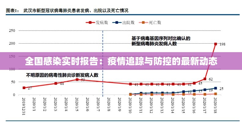 全国感染实时报告：疫情追踪与防控的最新动态