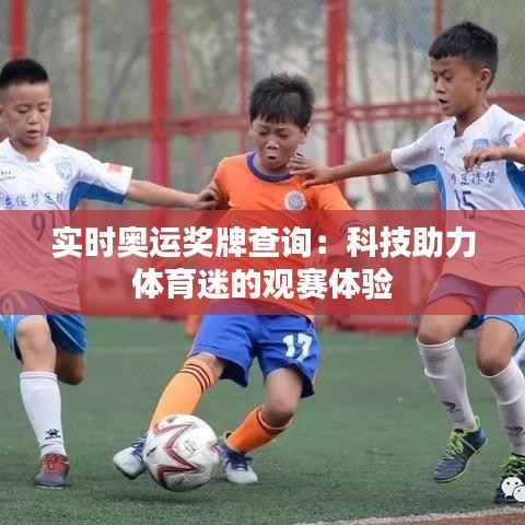 实时奥运奖牌查询:科技助力体育迷的观赛体验