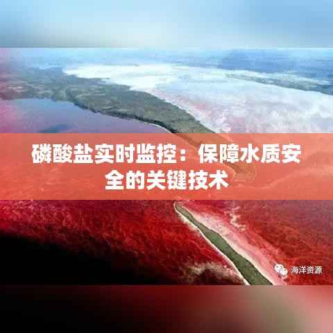 磷酸盐实时监控:保障水质安全的关键技术