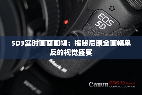 5D3实时画面画幅：揭秘尼康全画幅单反的视觉盛宴