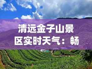 清远金子山景区实时天气：畅游自然，尽享清新时光