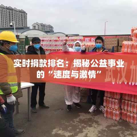 实时捐款排名:揭秘公益事业的“速度与激情”