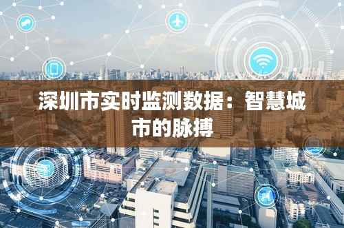 深圳市实时监测数据：智慧城市的脉搏