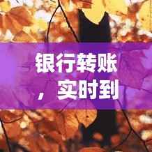 银行转账,实时到账还是稍后到账?揭秘转账速度之谜