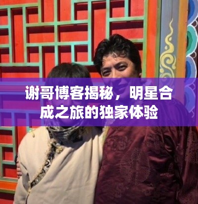 谢哥博客揭秘,明星合成之旅的独家体验