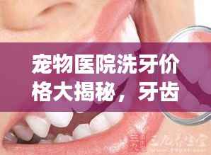 宠物医院洗牙价格大揭秘，牙齿健康不容忽视，为爱宠呵护口腔健康！