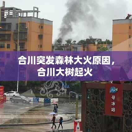 合川突发森林大火原因,合川大树起火
