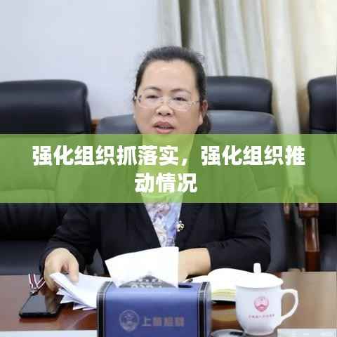 强化组织抓落实，强化组织推动情况 