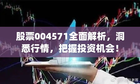 股票004571全面解析,洞悉行情,把握投资机会!