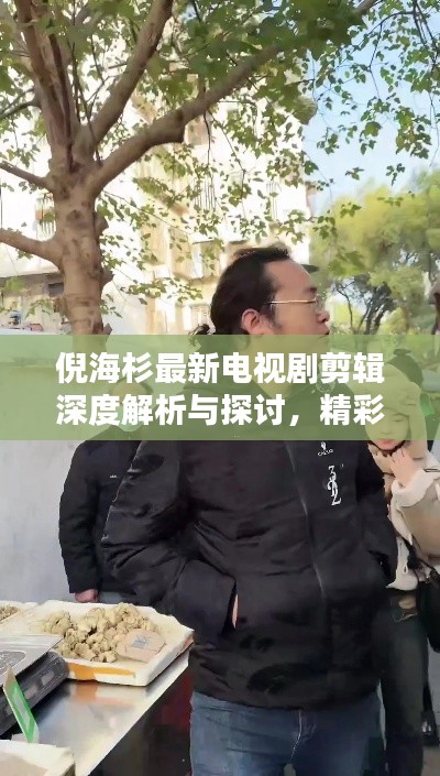 倪海杉最新电视剧剪辑深度解析与探讨，精彩剧情一网打尽！