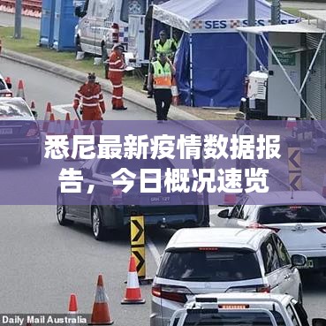 悉尼最新疫情数据报告,今日概况速览