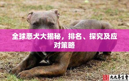 全球恶犬大揭秘,排名、探究及应对策略