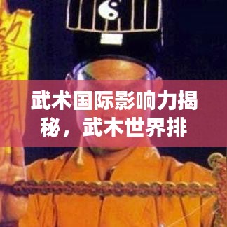 武术国际影响力揭秘,武木世界排名探秘