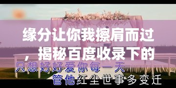 缘分让你我擦肩而过,揭秘百度收录下的奇妙缘分故事!