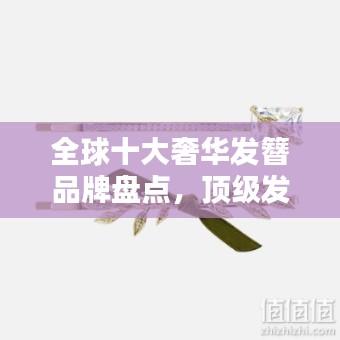 第955页